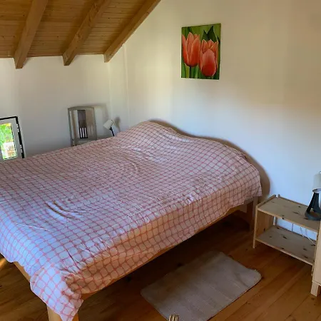 Casa Agostinho - With Private Pool Near Coimbra Holiday home *