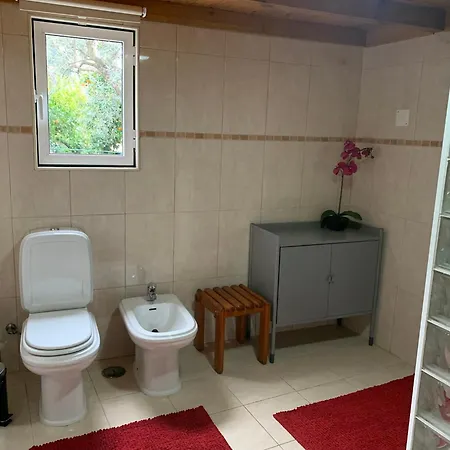 Casa Agostinho - With Private Pool Near Coimbra Holiday home Graca