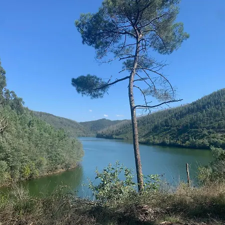 Casa Agostinho - With Private Pool Near Coimbra 펜션 Graca