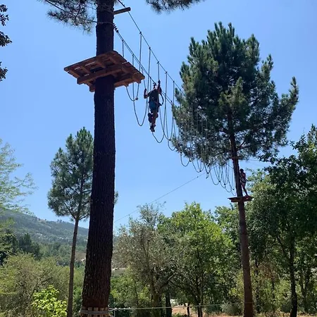 Casa Agostinho - With Private Pool Near Coimbra * Graca