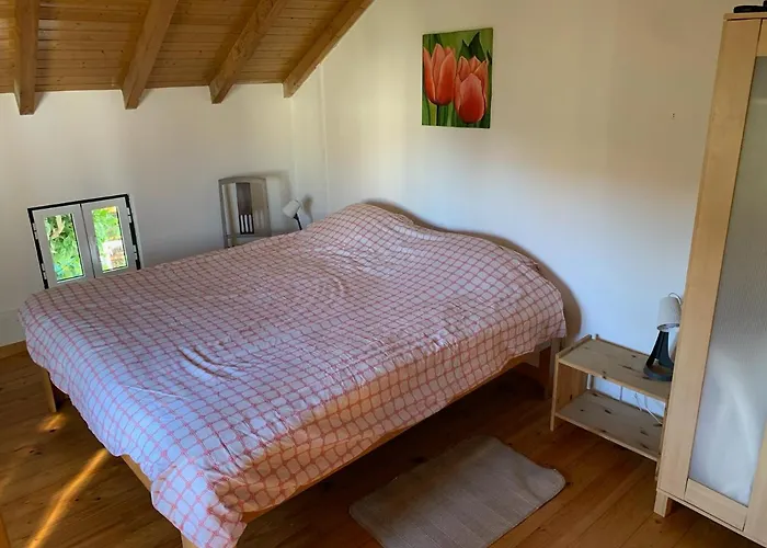 Casa Agostinho - With Private Pool Near Coimbra Hébergement de vacances *
