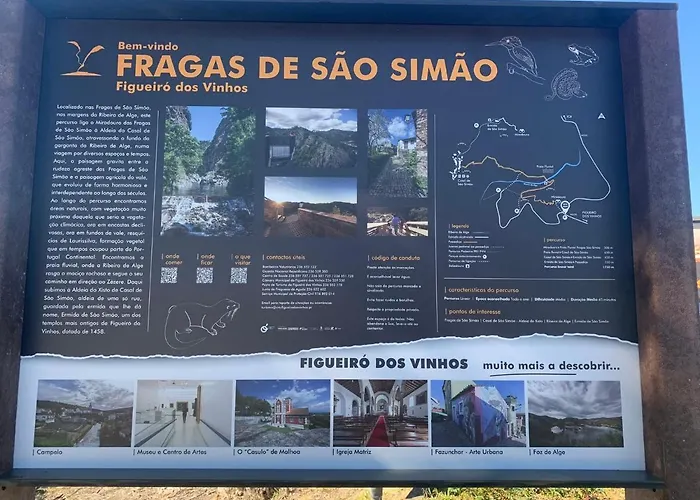 Casa Agostinho - With Private Pool Near Coimbra * Graca