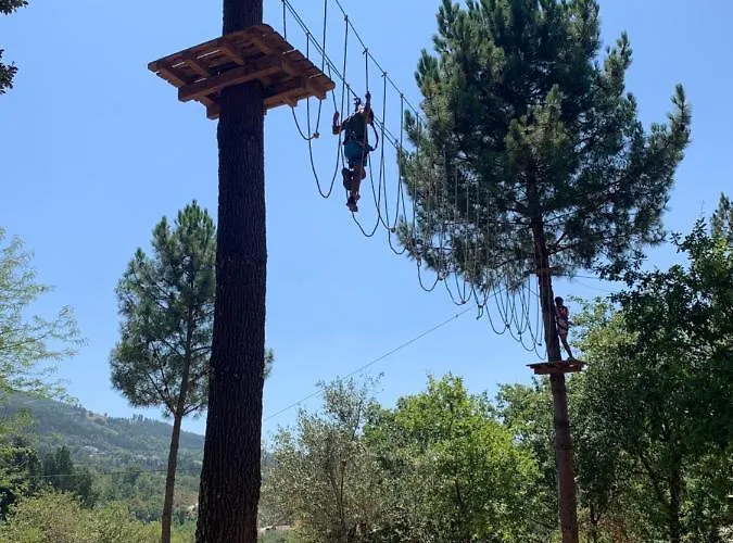 Casa Agostinho - With Private Pool Near Coimbra * Graca
